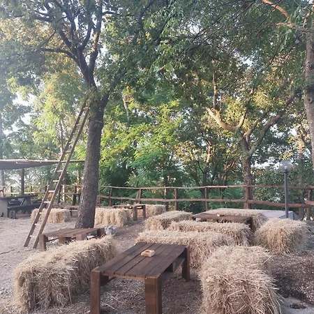 Alojamento de Turismo Rural Quota 700